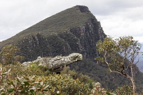 signal peak