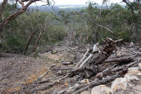 flood damage and landslip