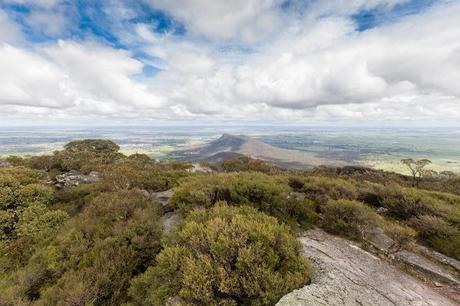 the piccaninny from mount abrupt summit 