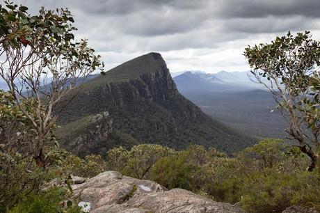 signal peak from mount abrupt track