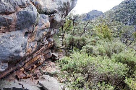 rock wall near mount abrupt track