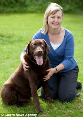 Inspiring Blind Lab Crowned Pet Champion!