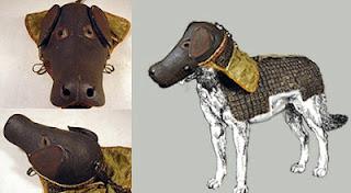 Samurai Warrior Armor for Dogs!