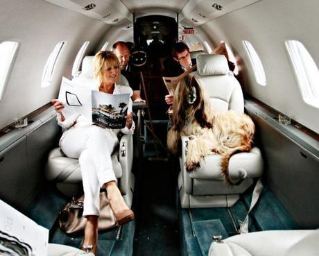 Jet-Setting Dogs: K-9’s go First Class!