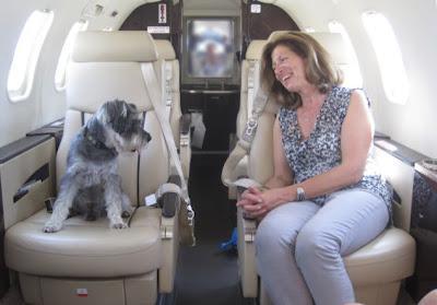 Jet-Setting Dogs: K-9’s go First Class!