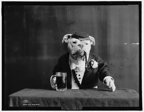 Bulldogs in Drag: Photos of the Early 20th Century Bulldogs in Drag: Photos of the Early 20th Century