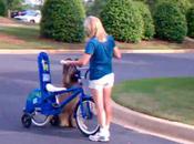 Learns Ride Bicycle!