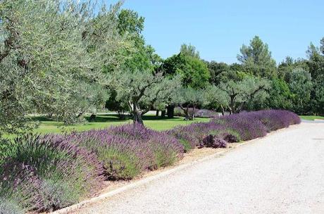 Chateau d'Estoublon - Summer Dining Nirvana