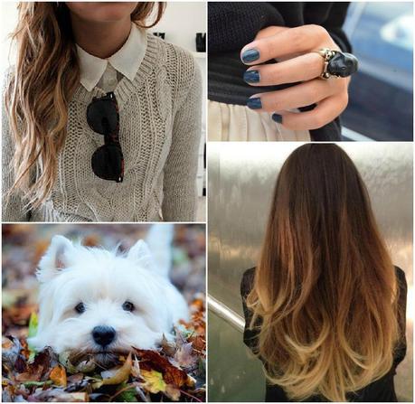 autumn must haves