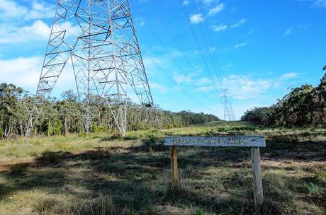 overhead power lines above walking track