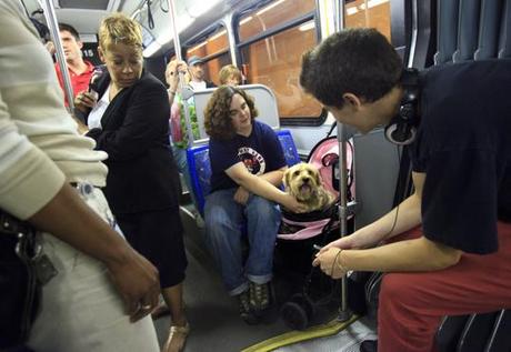 Strollers for Dogs: The Latest in Pet Pampering