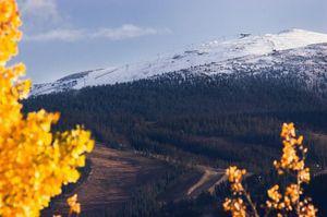Looks like the Pano is shaping up nicely. Top of the Jane got some snow too! Winter Park