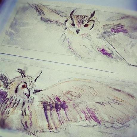 Just two water colours of an owl I painted in my first year of...