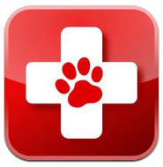 Haus Of Paws Top 10 iPhone Apps for Dogs!