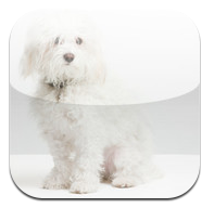 Haus Of Paws Top 10 iPhone Apps for Dogs!