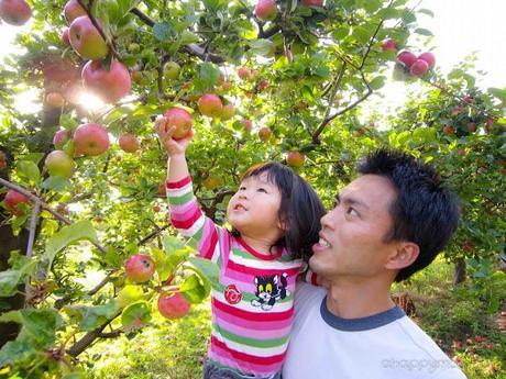 A happy family is but an earlier heaven + {U Family introduction}