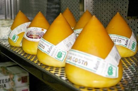 eat like a local, local cheeses found in Barcelona, Spain