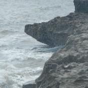 Shoreline at  Blowing Rocks Jupiter Florida