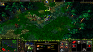 Warcraft III - Dota