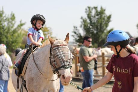 4-H In Our Future