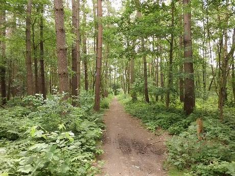 Monday Mingle 13th Edition 3 Meet Me On Monday