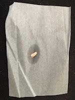 [REVIEW] Skin79 Advanced Triple Functions BB Cream (RED Label)