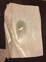 [REVIEW] Skin79 Advanced Triple Functions BB Cream (RED Label)