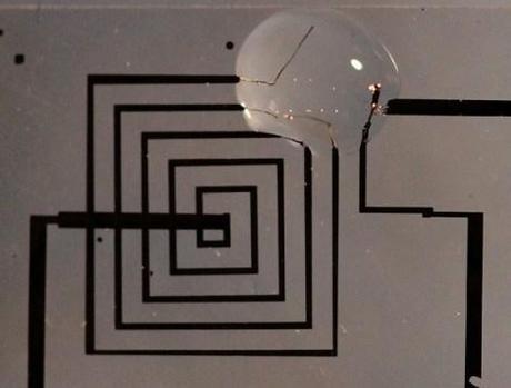 silicon-silk circuit that dissolves inside your body