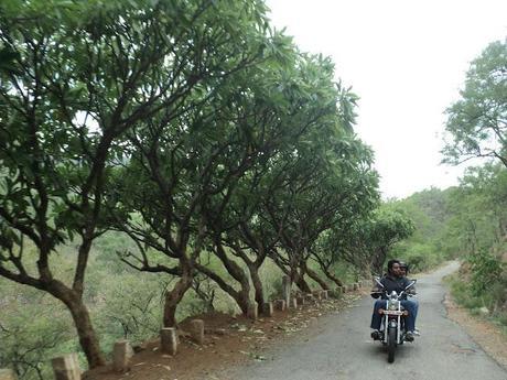 60) Muthati forest & Kanva reservoir: (30/7/2012)