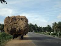 60) Muthati forest & Kanva reservoir: (30/7/2012)