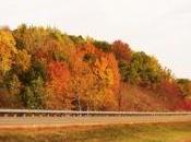 Wordless Wednesday Week Photos