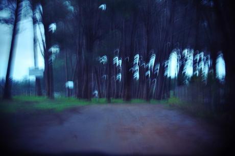 La Pineta, Stellenbosch