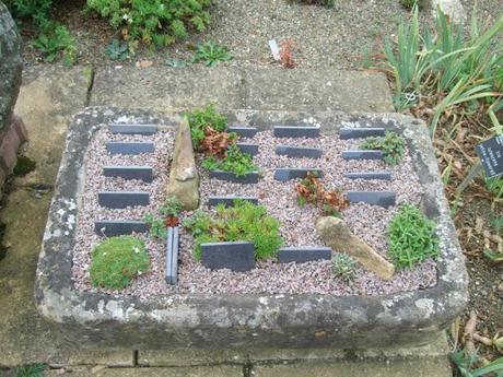 Alpine Troughs, Miniature Gardens Alpine Troughs, Miniature Gardens