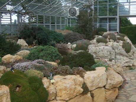 Alpine Troughs, Miniature Gardens Alpine Troughs, Miniature Gardens