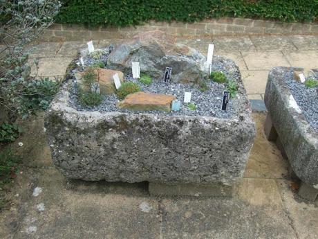 Alpine Troughs, Miniature Gardens Alpine Troughs, Miniature Gardens