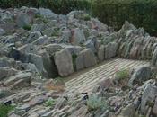 Alpine Troughs, Miniature Gardens