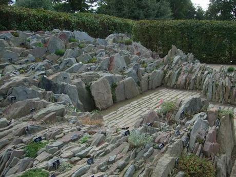 Alpine Troughs, Miniature Gardens Alpine Troughs, Miniature Gardens