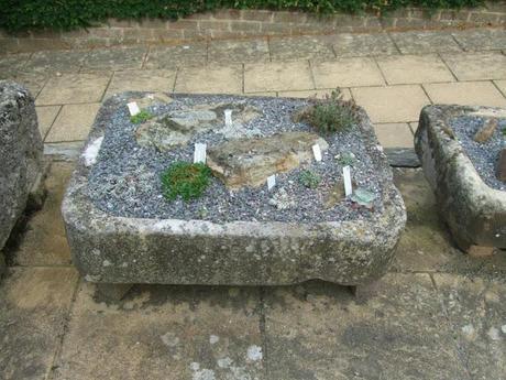 Alpine Troughs, Miniature Gardens Alpine Troughs, Miniature Gardens