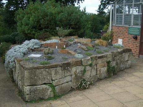 Alpine Troughs, Miniature Gardens Alpine Troughs, Miniature Gardens