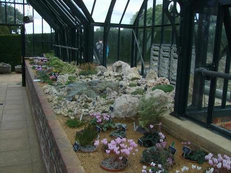 Alpine Troughs, Miniature Gardens Alpine Troughs, Miniature Gardens