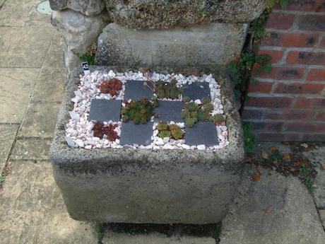 Alpine Troughs, Miniature Gardens Alpine Troughs, Miniature Gardens