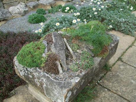 Alpine Troughs, Miniature Gardens