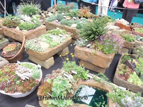 Autumnal Nurseries at Malvern