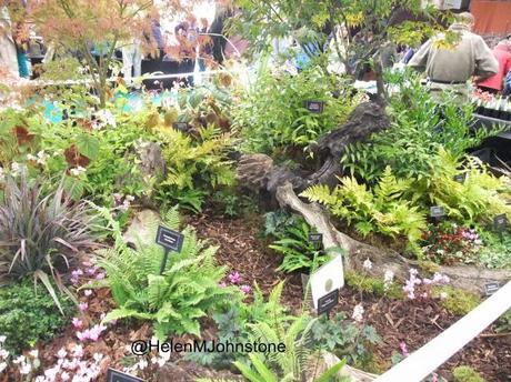 Autumnal Nurseries at Malvern