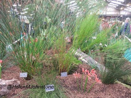 Autumnal Nurseries at Malvern