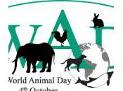 World Animal 2012