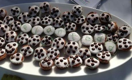 Plantedd_mini_cupcakes