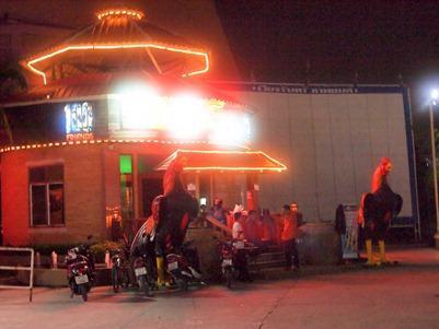 OLYMPUS DIGITAL CAMERA OLYMPUS DIGITAL CAMERA