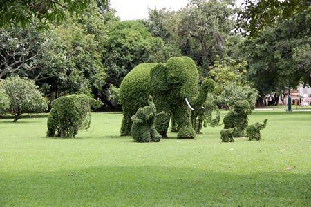 Thailand (299 of 470) Thailand (299 of 470)