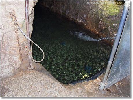 Cavern Journey on the boat Cavern Journey on the boat